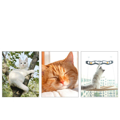 Hamac Fenêtre pour Chat