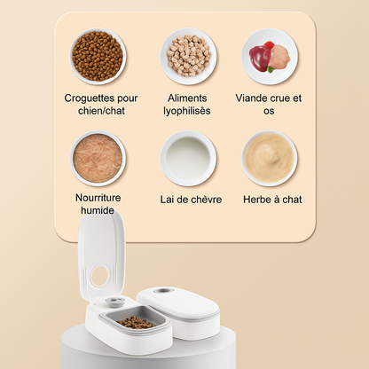 Le Distributeur Malin – Nourrit Votre Animal à l’Heure, Tous les Jours, Sans Effort !